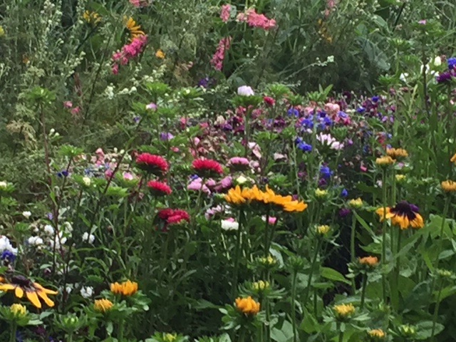 19955021123_55459a47bf_o